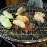 寅 - シロコロ