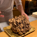 日本料理FUJI - 静岡井川の天然舞茸
