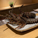 日本料理FUJI - 殺意を感じて鳴く解禁直後の伊勢海老