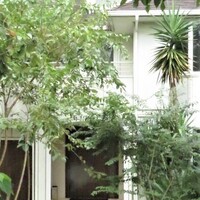 Restaurant MyS - 白い洋館