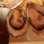 THE CAVE DE OYSTER - 