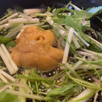 恵比寿 えんどう - 水菜の下には、盛り盛りの雲丹♡