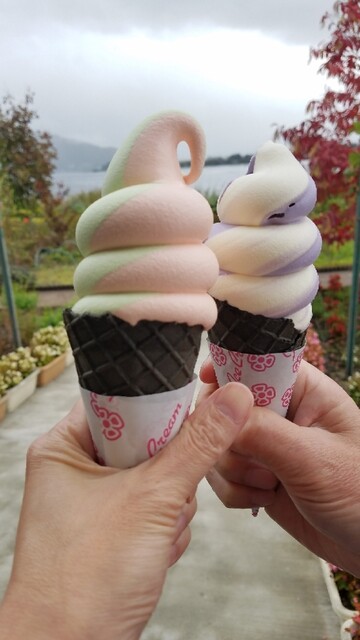 河口湖自然生活館 ブルーベリーの里 Kawaguchiko Natural Living Center 河口湖 その他 食べログ 河口湖自然生活館 ブルーベリーの里 Kawaguchiko Natural Living Center 河口湖 その他 食べログ