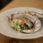 イザカヤキツネ - 