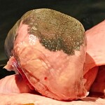 西麻布 焼肉 X - 牛タン