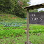 Soba An Shiduka Tei - 宿の前の農園