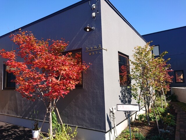 SHAMS（シャムス） - 帯広（カフェ）の写真