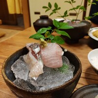 ろっこん - 刺身付き