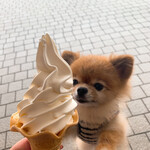 ファームみくに 手造りミルク工房 - 料理写真: