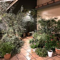 カーザ ヴィニタリア - パティオ