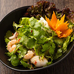 Coriander salad/vermicelli salad