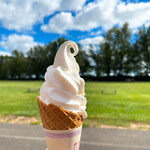 八紘学園 農産物直売所 - 【2021年09月】ミニソフト＠200円、やっぱ旨い♪