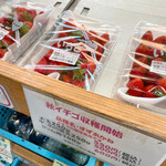 八紘学園 農産物直売所 - 【2021年09月】秋いちご、販売してた。