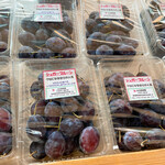 八紘学園 農産物直売所 - 【2021年09月】プルーン。