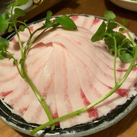 炭火焼鳥とり央 - 