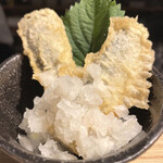 Tempura To Wain Ooshio - 