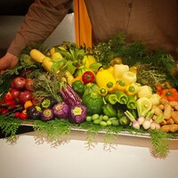 レフェルヴェソンス - 