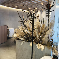 Ristorante Ecru - 