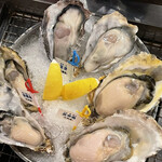 かき小屋 新橋 - 