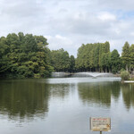 アナザープレイスカフェ  - 