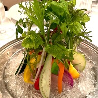 カーザ ヴィニタリア - 