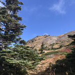 ペンション てんとう虫 - 日光白根山