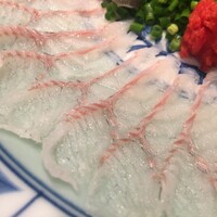 魚料理専門 魚魚一 - 浜名湖うなぎの刺身