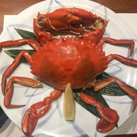 魚料理専門 魚魚一 - どうまんがに
