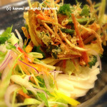 うどん工房悠々 - サラダのかき揚げうどん