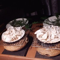 レフェルヴェソンス - 