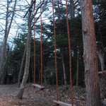 フォリオリーナ・デッラ・ポルタ・フォルトゥーナ - 