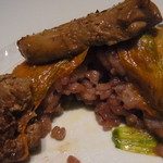 フォリオリーナ・デッラ・ポルタ・フォルトゥーナ - 