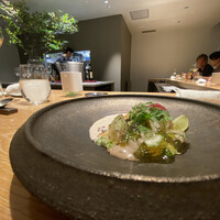 マンサルヴァ - 