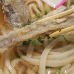 杉さんうどん - 