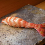 日本橋橘町　都寿司 - ★8　クルマエビ