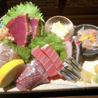 Enjoy morning catch fish from Sashima Fishing Port on the Miura Peninsula!