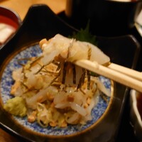 割烹 魚政 - 