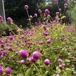 ベーカリーツキヨシ - 