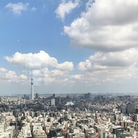 広東料理 センス - 席からの眺望