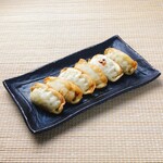 Fried Agu pork Gyoza / Dumpling