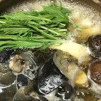 【鍋】スッポン鍋