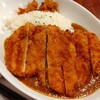 Kushikatsu Dengana - ルーが見えないデカさ。ルー旨いね。