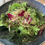 蕎麦居酒屋 彩海 - 島野菜と海ぶどうのシャキシャキサラダ　揚げたジャコのサクサクと海ぶどうのプチプチ感の食感がとても良い　普通だけど美味い