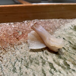 匠 進吾 - みる貝。甘い！