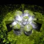 畑かく - 囲炉裏の炭