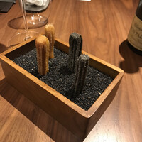 ル スプートニク - 