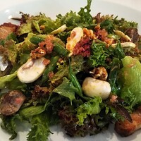 Benoit Alain Ducasse - 