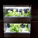 ステーキ・洋食のTANTO屋 - 店内の風景　2021.10