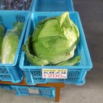 八紘学園 農産物直売所 - 【2012年10月】札幌大球＠1,200円。