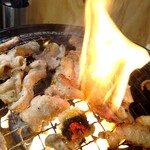 Sendai Gyuu Tan Tabehoudai Yakiniku Horumon Sakaba Tokiwa Tei - 